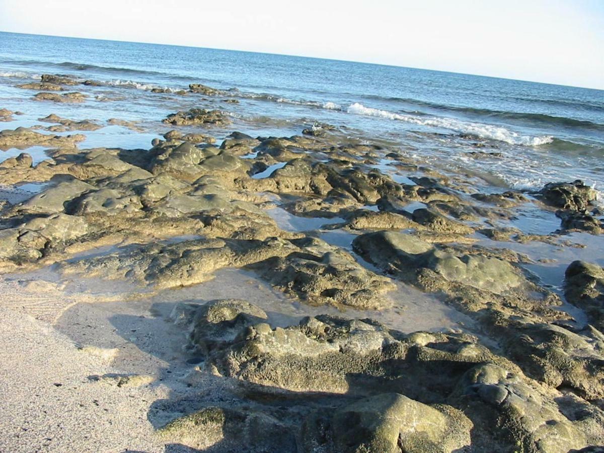 Cotillosand מראה חיצוני תמונה